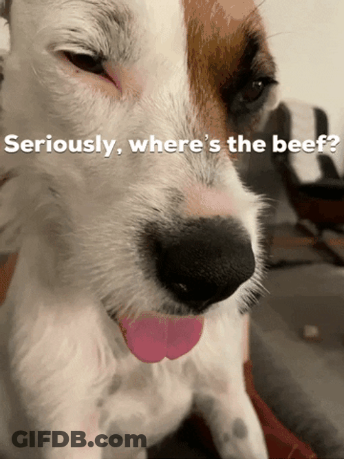 Seriously Where's The Beef The Dog Asks GIF