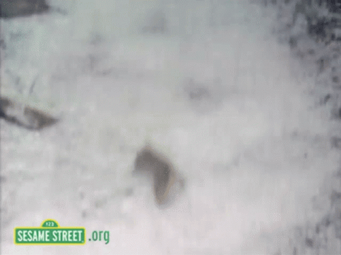 Sesame Street Avalanche GIF