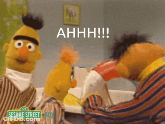 Sesame Street Bert And Ernie Bath Tub GIF
