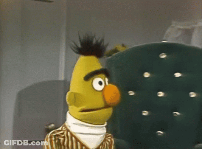 Sesame Street Bert And Ernie GIF