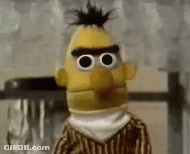 Sesame Street Bert For Real GIF