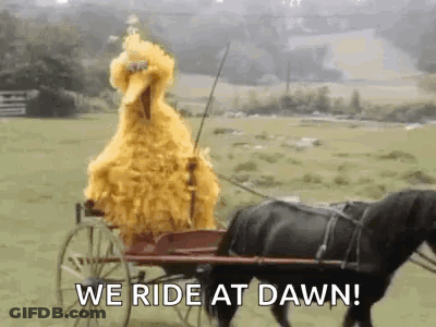 Sesame Street Big Bird Riding Horse-Drawn Carriage GIF