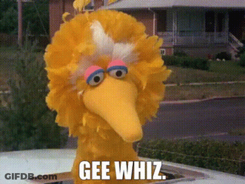 Sesame Street Big Bird Says Gee Whiz While Sitting On A Car GIF