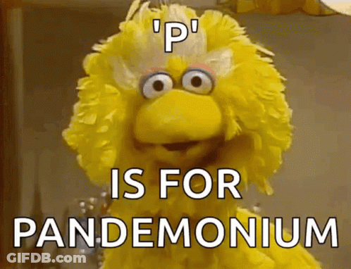 Sesame Street Big Bird Says " P Is For Pandemonium " GIF