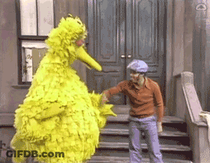 Sesame Street Big Bird Standing Next To A Boy On The Steps GIF