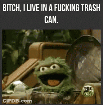 Sesame Street Character Saying Bitch I Live In A Fucking Trash Can GIF