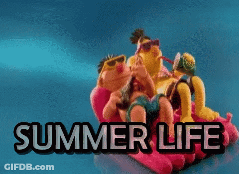 Sesame Street Characters On A Raft With The Words Summer Life GIF