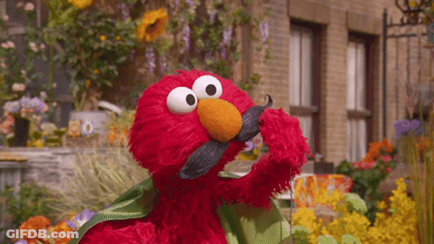 Sesame Street Elmo Hairy Mustache GIF
