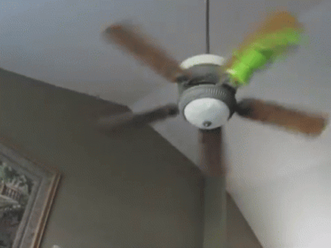 Sesame Street Kermit Suicide Ceiling Fan Get Down There GIF