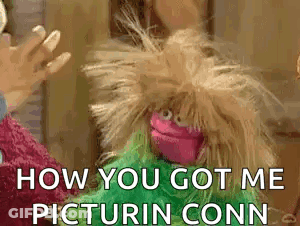 Sesame Street Puppet Asking How You Got Me Pictured Conn GIF