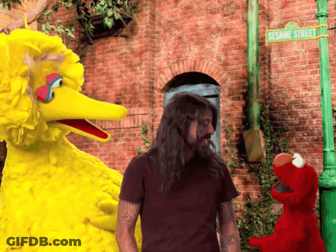 Sesame Street Team Up With Foo Fighters GIF