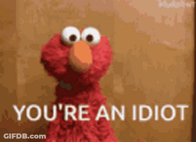 Sesame Street What An Idiot GIF