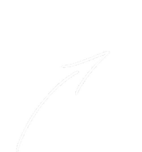 Seta Arrow Sticker GIF