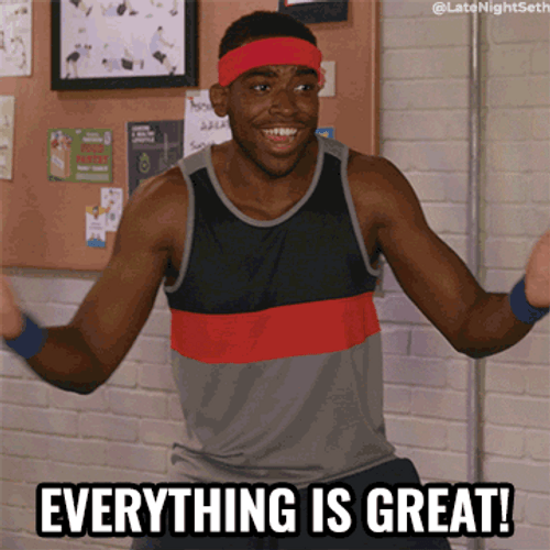 Seth Dance Everything Is Great Good For Her GIF