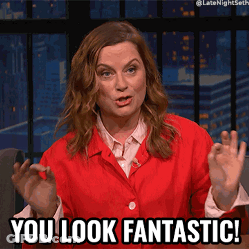Seth Meyers Amy Poehler You Look Marvelous Fantastic GIF