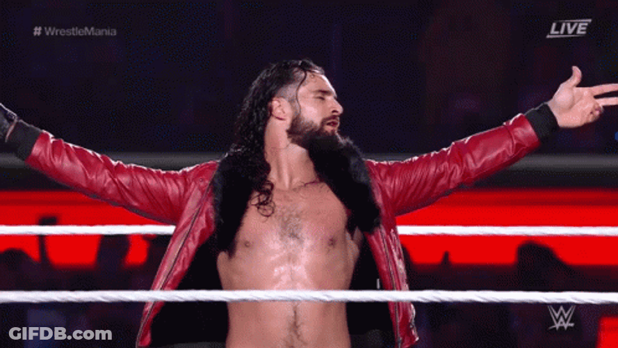 Seth Rollins Being Fabulous In The Ring GIF