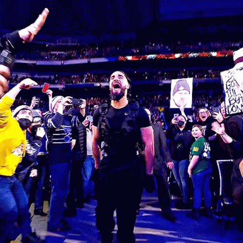 Seth Rollins Celebrating With The Crowd GIF