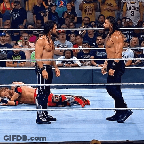 Seth Rollins Fights On The Ring GIF