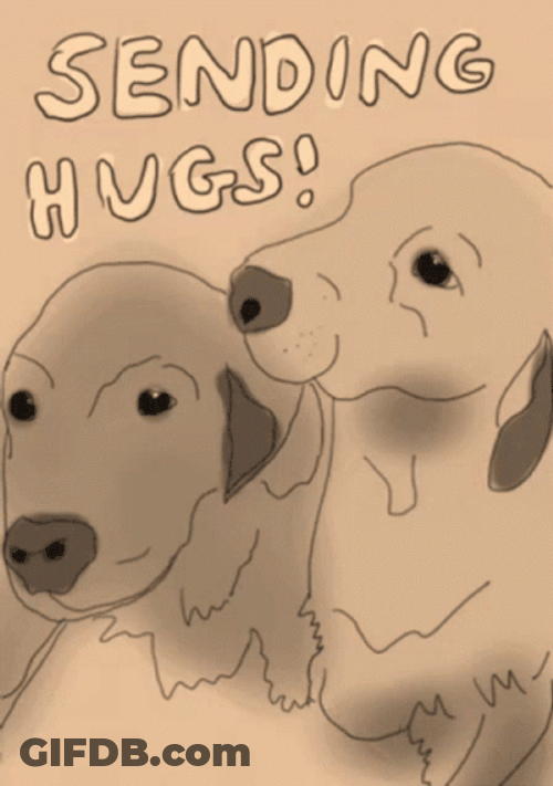 Setter Dogs Sending Hugs GIF
