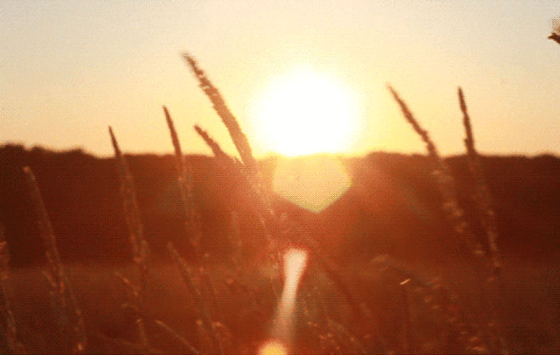 Setting Sun Afternoon Scenery GIF