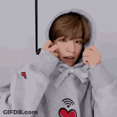 Seungmin Heart Hood Up GIF