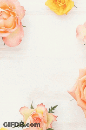 Seven Colours Cards With Roses GIF