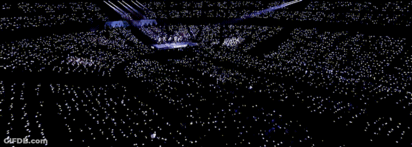 Seventeen Concert Audience GIF