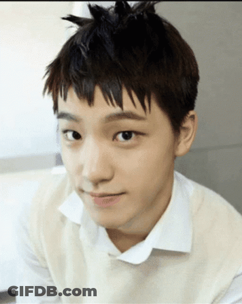 Seventeen Dino Lee Chan GIF