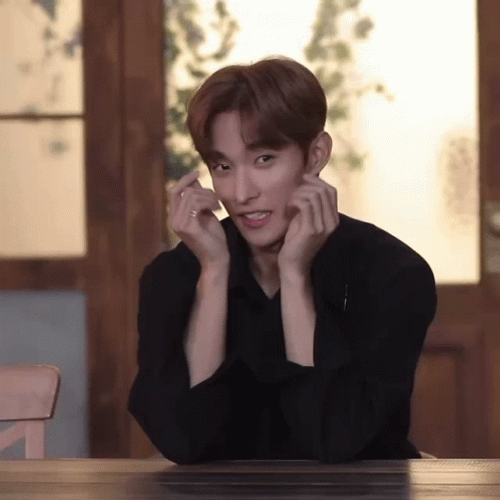 Seventeen Dokyeom Hearts GIF