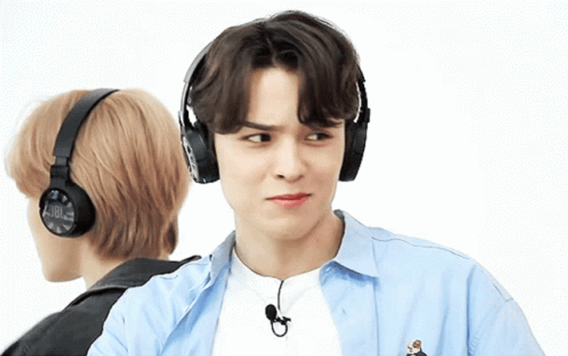Seventeen Hansol Vernon GIF