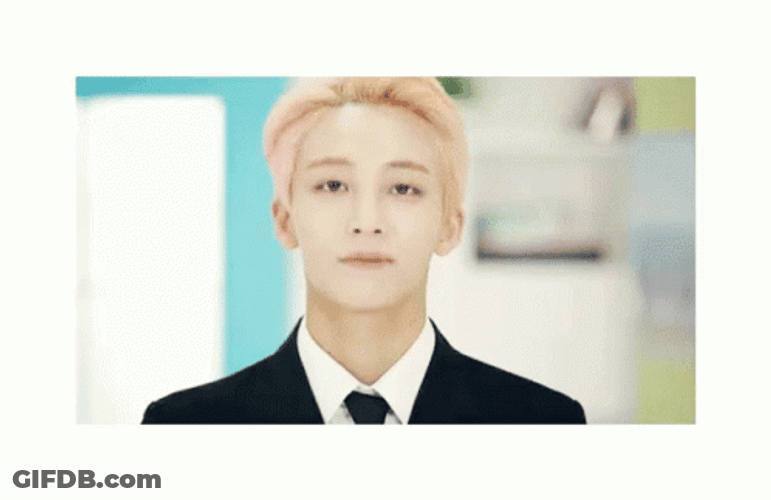 Seventeen Kip Yes GIF