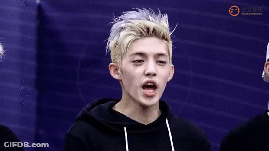 Seventeen Kpop Boy Group GIF