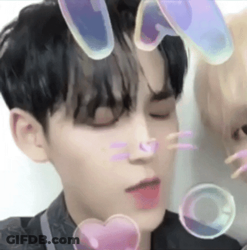 Seventeen Mingyu Bunny Effect GIF