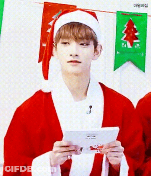 Seventeen Santa Joshua Hong GIF