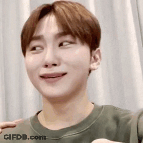 Seventeen Seungkwan Face Hide GIF