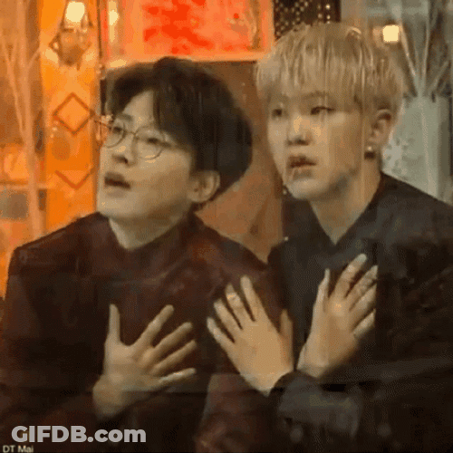 Seventeen Wonwoo Hoshi GIF