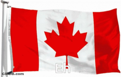 Several Bottles Of Maple Syrup Are Lined Up On A Table And The Word Eh Is Above Them GIF