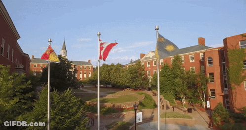 Several Flags Flying In Front Of Large Building GIF