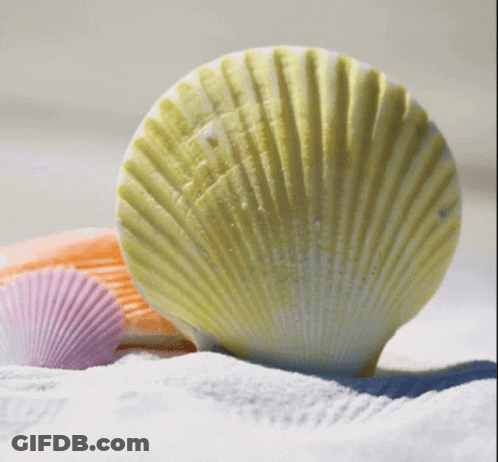 Several Sea Shells Are Laying On The Sand Including A Yellow Shell GIF