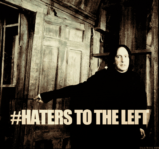 Severus Snape Haters To The Left GIF