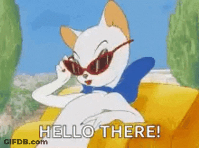Sexy Cat Well Hello There GIF
