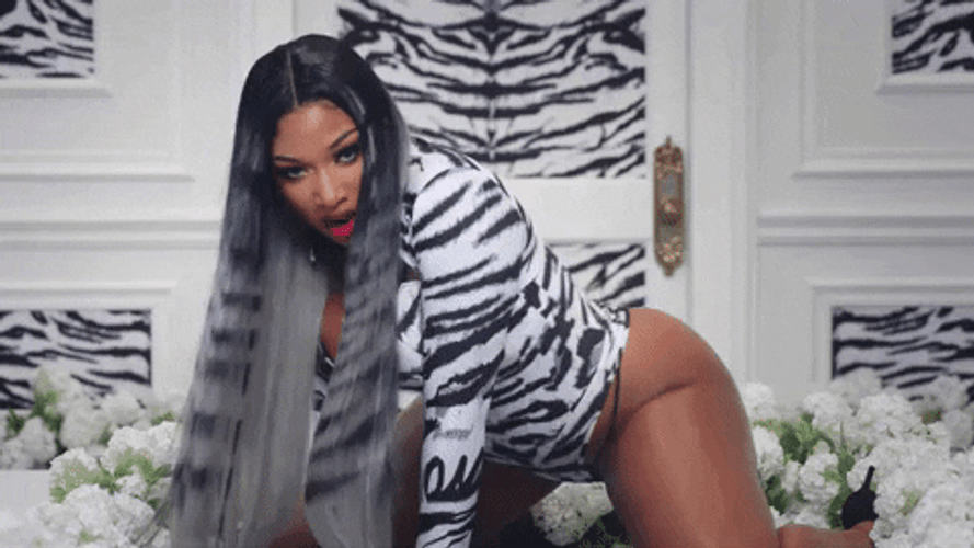 Sexy Megan Thee Wap GIF