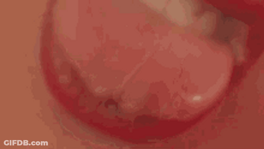 Sexy Red Lips Seductive Lick Sucking GIF
