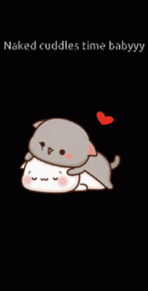 Sexy Time Cat Hug GIF