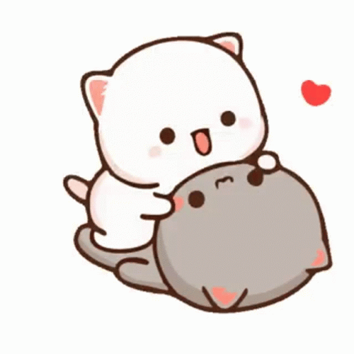 Sexy Time Cute Cats Kiss GIF