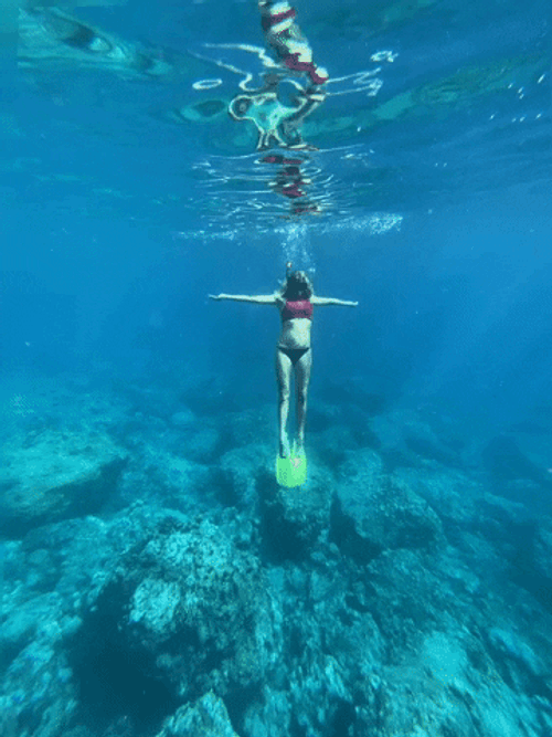 Seychelles Ocean Dive GIF