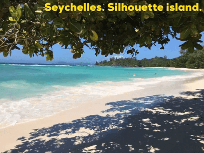 Seychelles Silhouette Island Beach Shore GIF