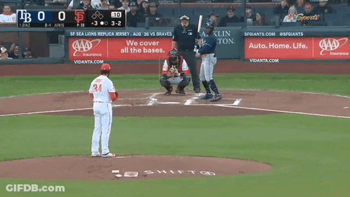 SF Lions Vs Braves Baseball Game GIF