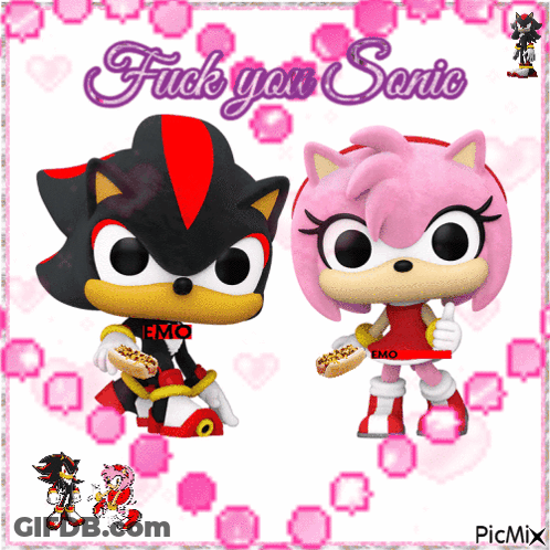 Shadow And Amy Saying Fuck You Sonic GIF
