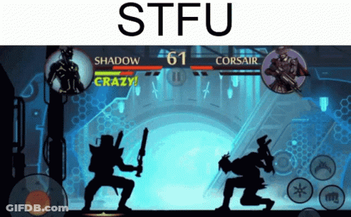 Shadow And Corsair Fighting In Stfu GIF